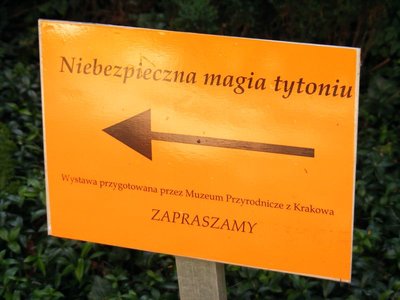 DSCF0989.JPG