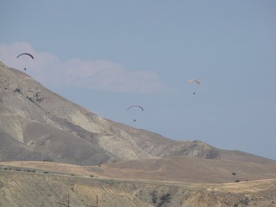 IMG_0214.JPG
