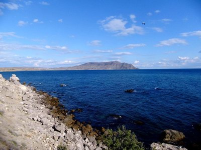 IMG_1446.JPG