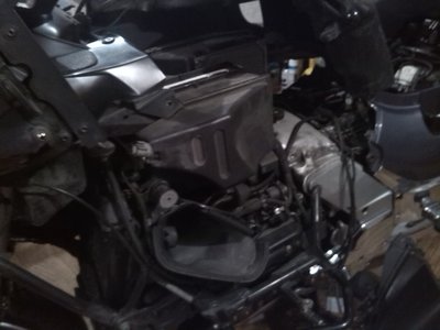 IMG_20170313_165234.jpg