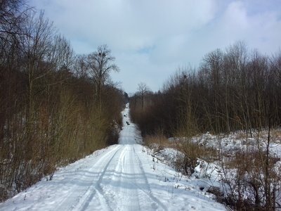 20180224_133001.jpg