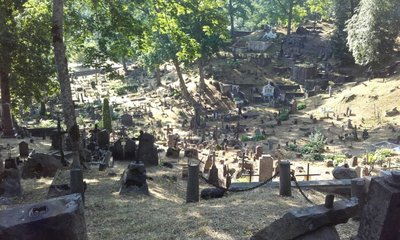 20180617_074332.jpg