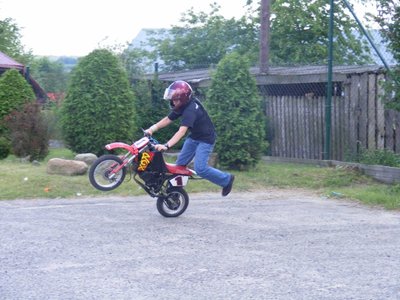 dd 019.jpg