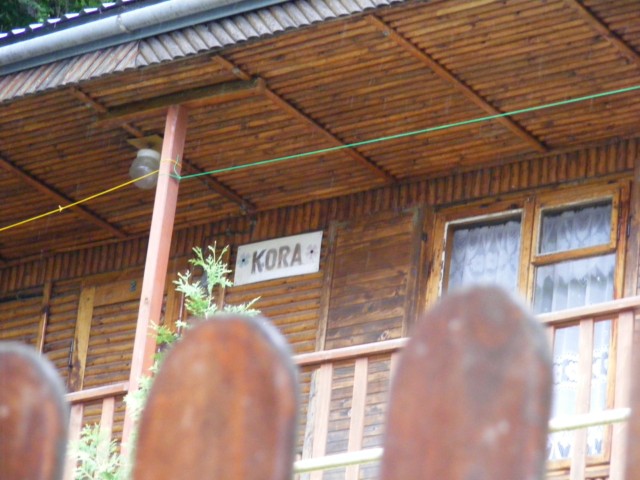 b 381.jpg