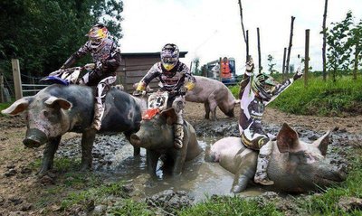 enduro.jpg