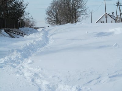 IMG_0294.JPG