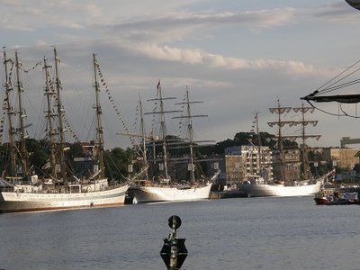 P8050539a.jpg