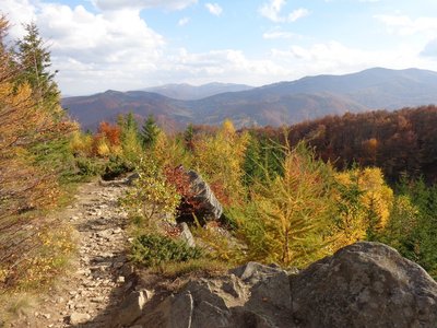 DSC01919_1024x768.JPG