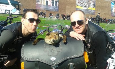 20160417_095317.jpg
