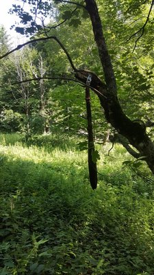 rura_wydechowa.jpg