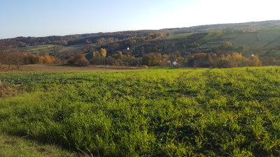 20181021_154436.jpg