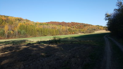 20181021_151333.jpg