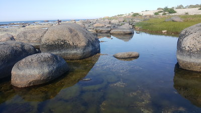 20190614_175334.jpg