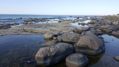20190614_175421.jpg
