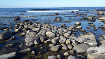 20190614_183544.jpg