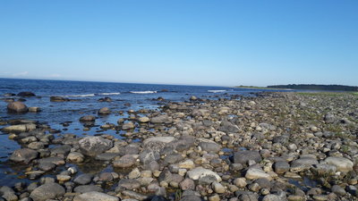 20190614_183533.jpg