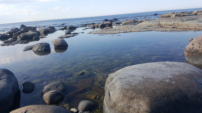 20190614_175338.jpg