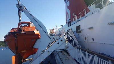 20190614_085934.jpg