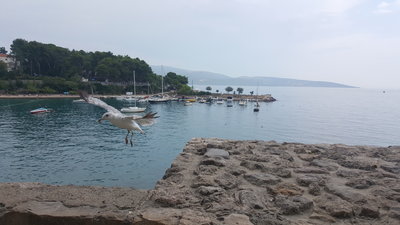 20190824_150043.jpg