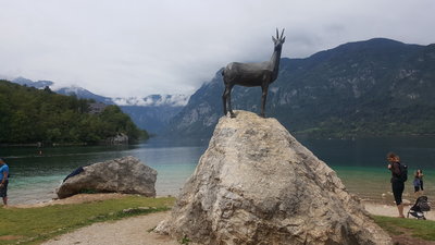 20190822_131826.jpg