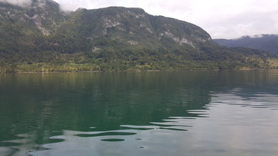 20190822_120012.jpg