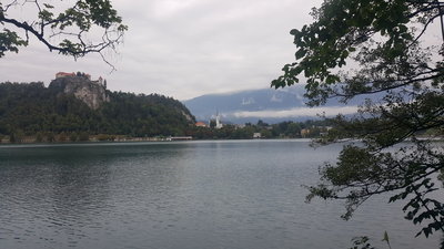 20190822_105902.jpg