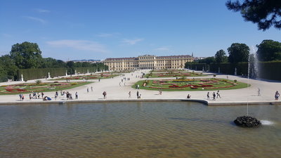 20190819_103237.jpg