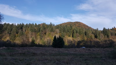 20191012_162323.jpg