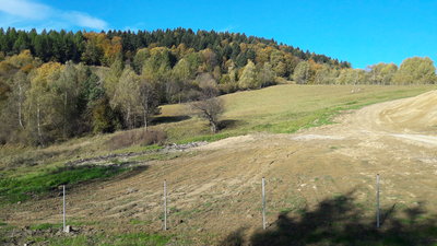 20191013_094214.jpg