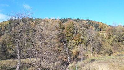 20191013_094222.jpg