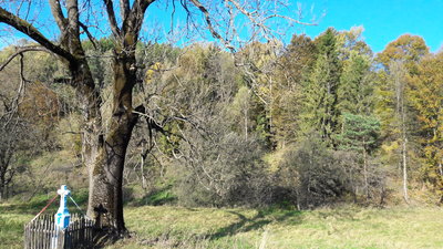20191013_094225.jpg