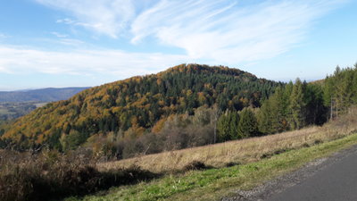 20191013_095605.jpg