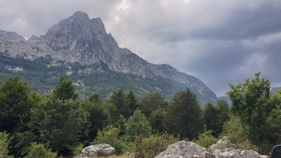 20200706_154818.jpg