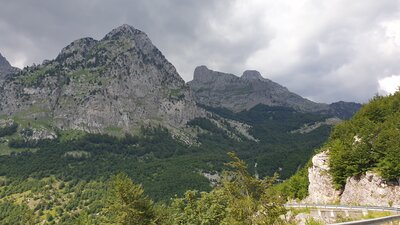 20200706_154215.jpg
