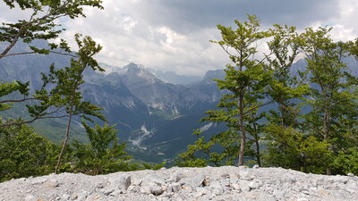 20200706_144246.jpg