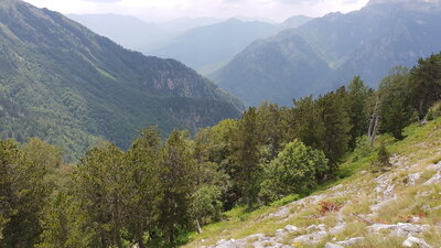 20200706_122625.jpg