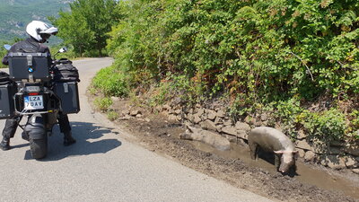20200705_145742.jpg