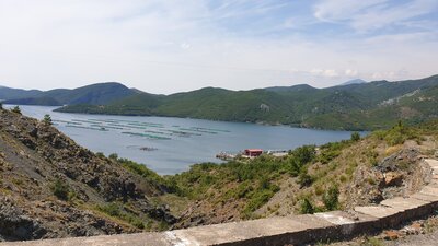 20200705_145057.jpg