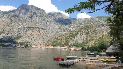 20200704_151947.jpg
