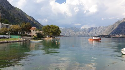 Kotor