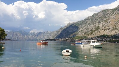 Kotor