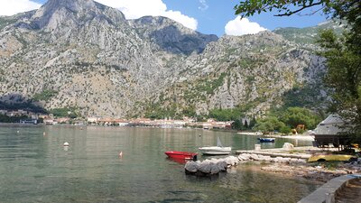 Kotor
