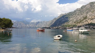 Kotor