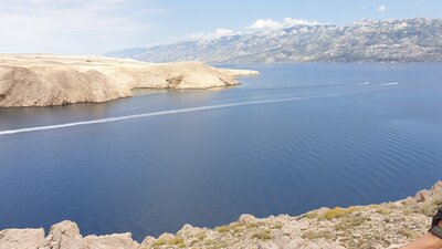 Chorwacja Lasici