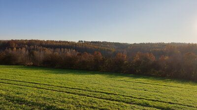 20201108_143625.jpg