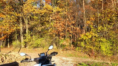 20201108_141021.jpg