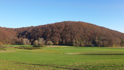 20201108_134549.jpg