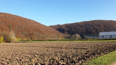 20201108_134052.jpg
