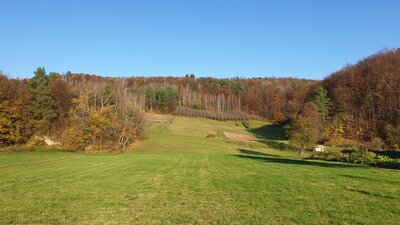 20201108_133813.jpg