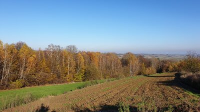 20201108_130237.jpg